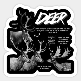 Deer Fun Facts Sticker